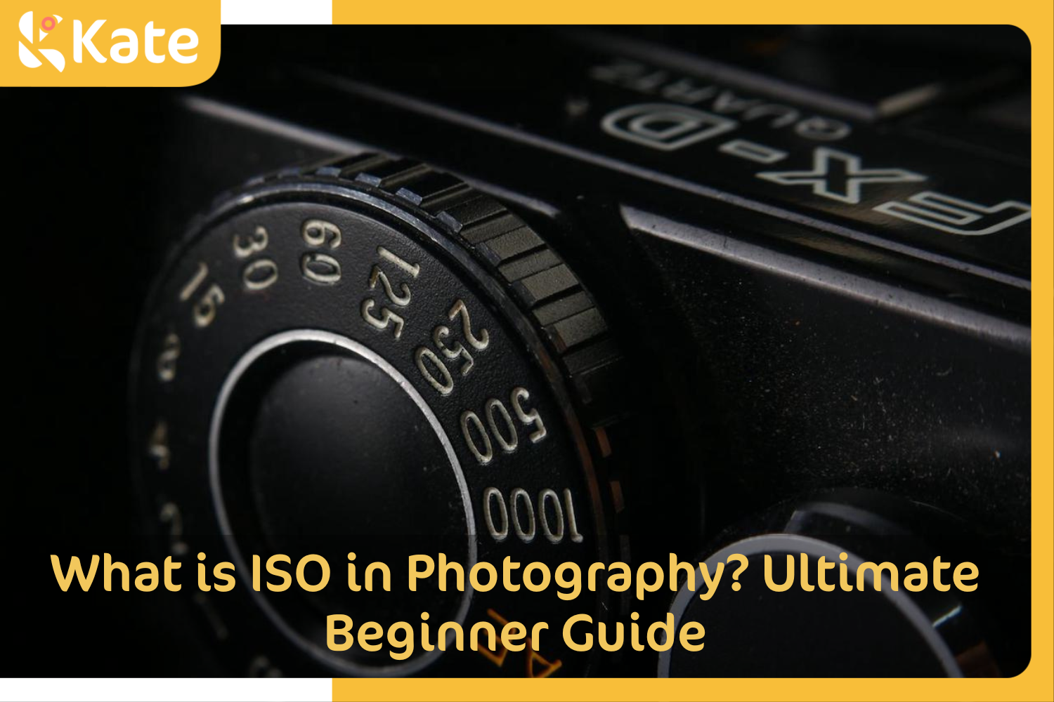 What is ISO in Photography? An Ultimate Beginner Guide