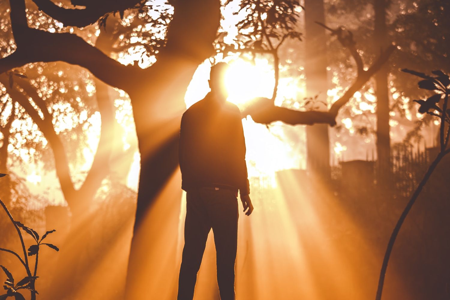 A man standing in front of a blue light photo – Free Light Image on Unsplash