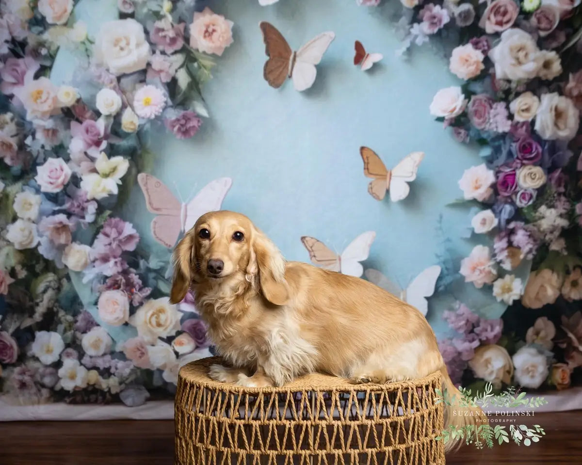 Kate Spring Butterfly Floral Backdrop Designed by Emetselch