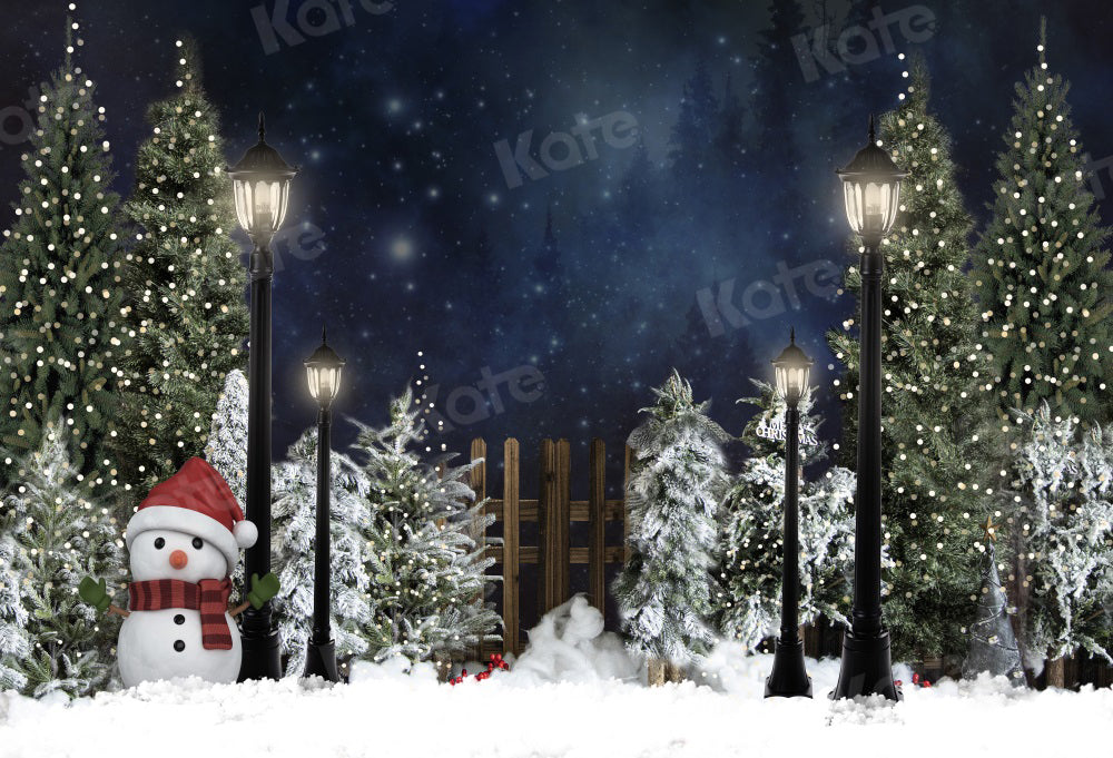Snowtime Custom Photo Christmas Card