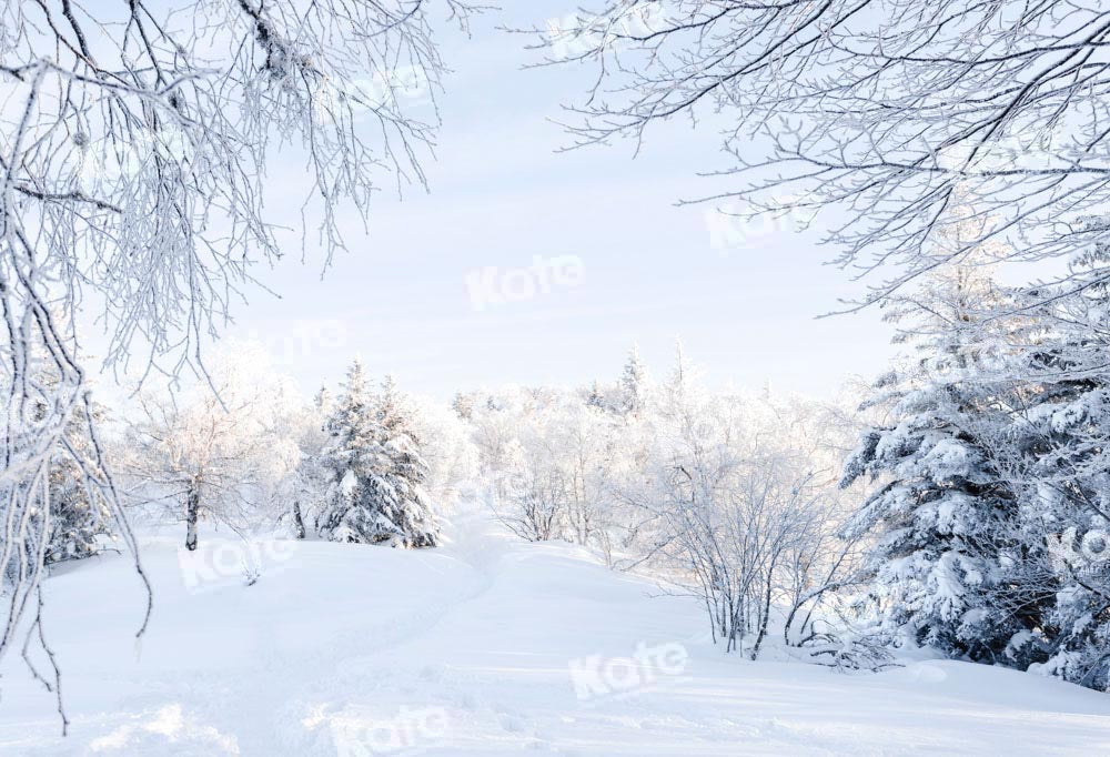 winter snow backgrounds
