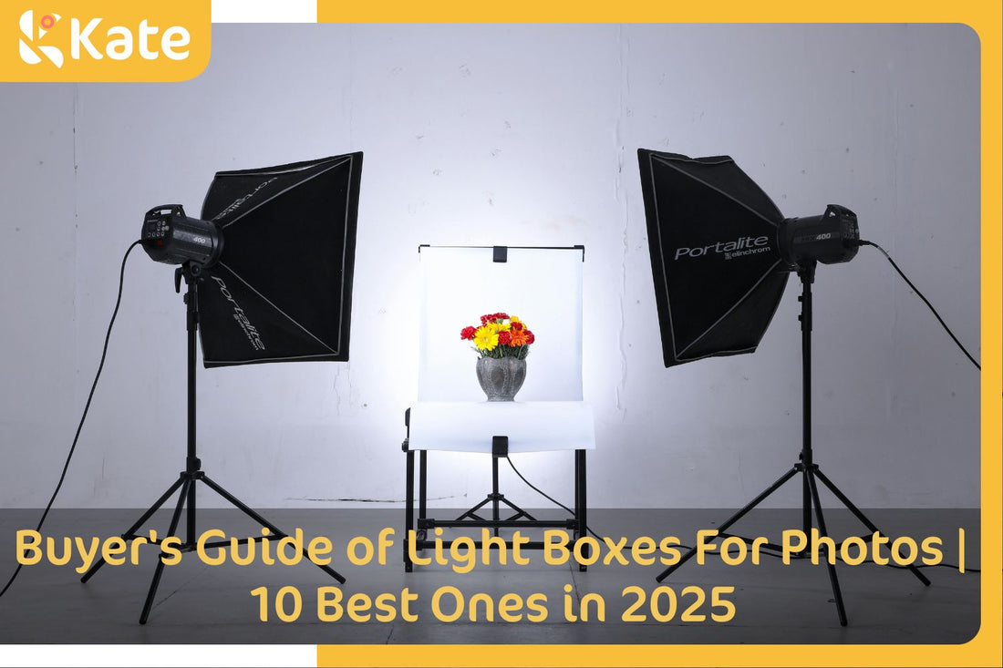 Buyer's Guide of Light Boxes For Photos: 10 Best Ones in 2025