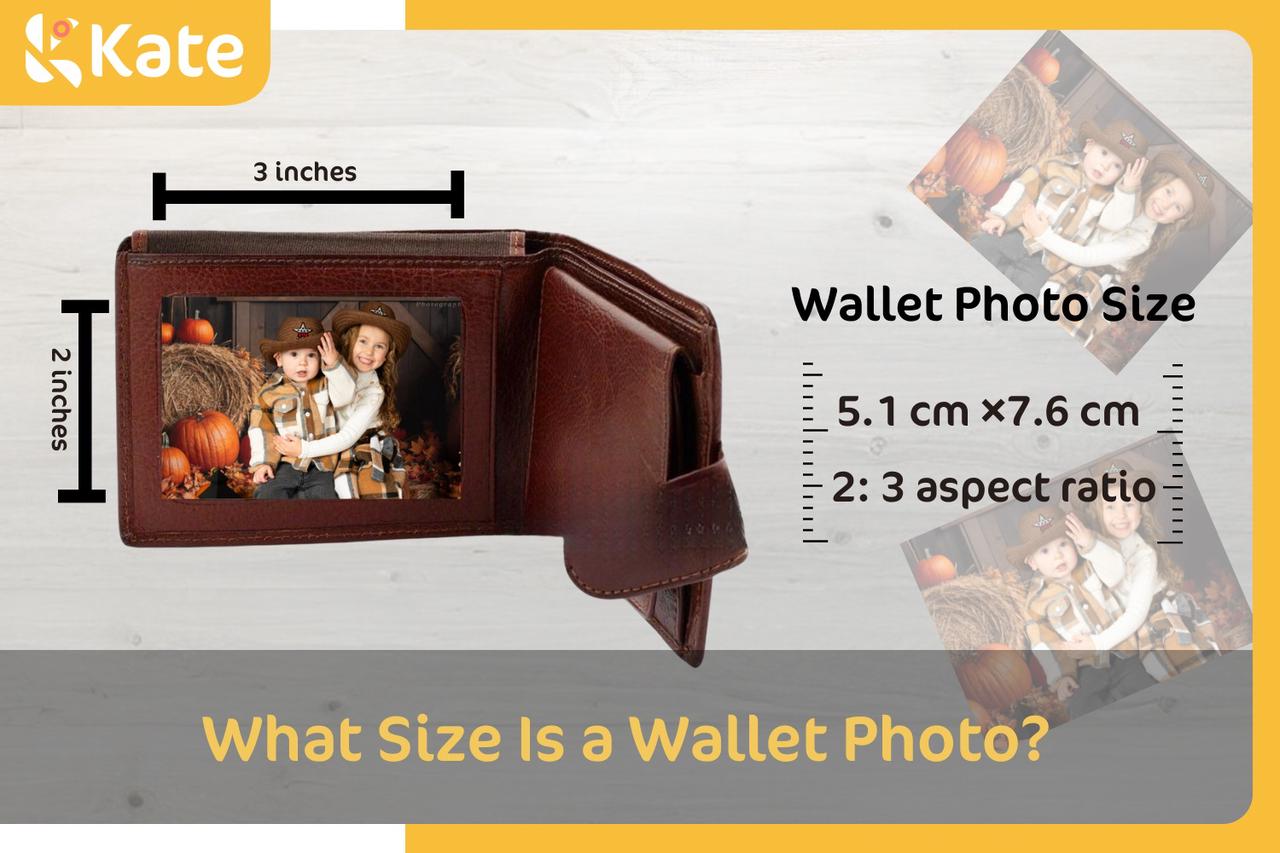 The information of a wallet photo size.