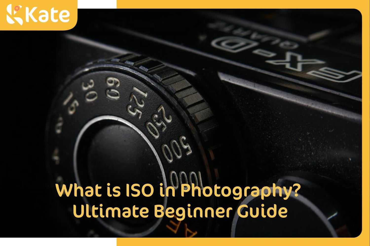 What is ISO in Photography? An Ultimate Beginner Guide