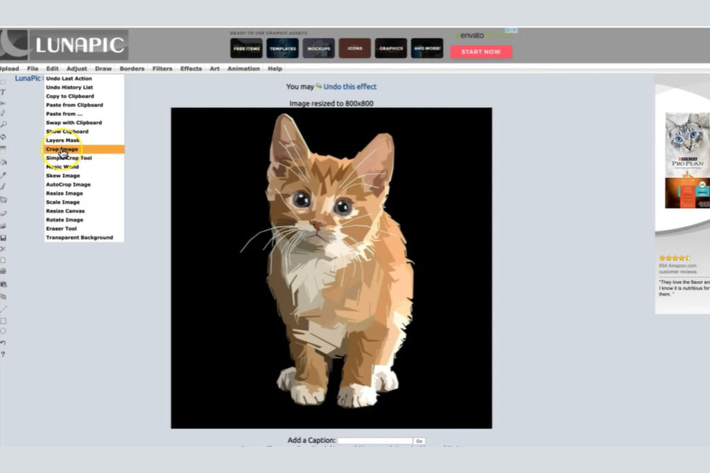 Creating Transparent PNG Files Using Lunapic Free Online Photo Editor –  EngagePHD Knowledge Base