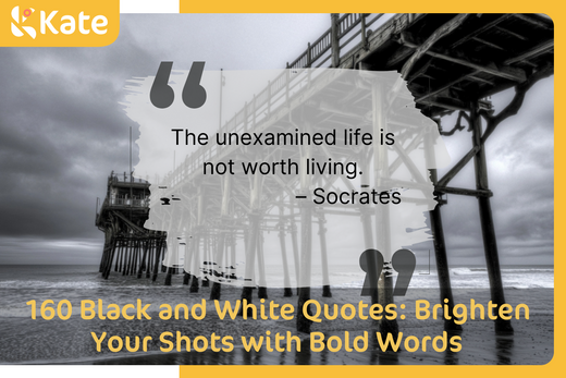 quotes for black and white shots