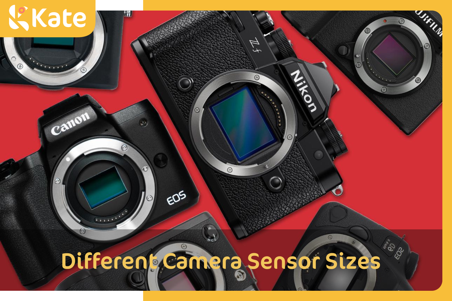 Different Camera Sensor Sizes