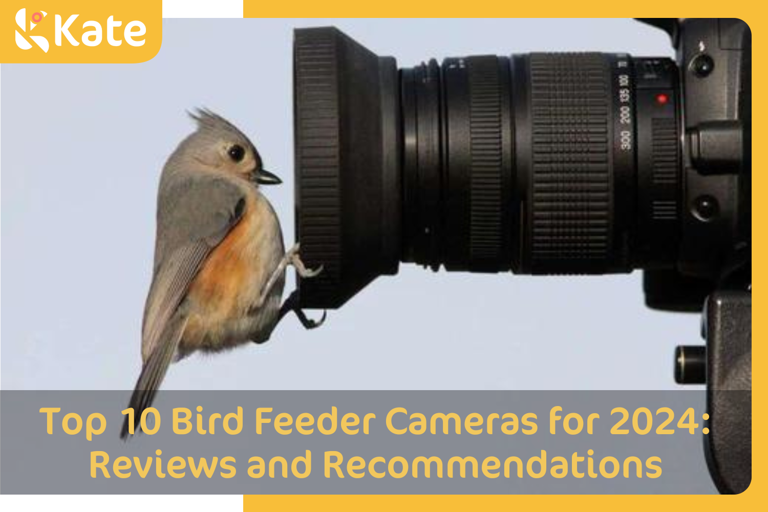 bird stands in front of lens Photo by Steve Byland on shutterstock