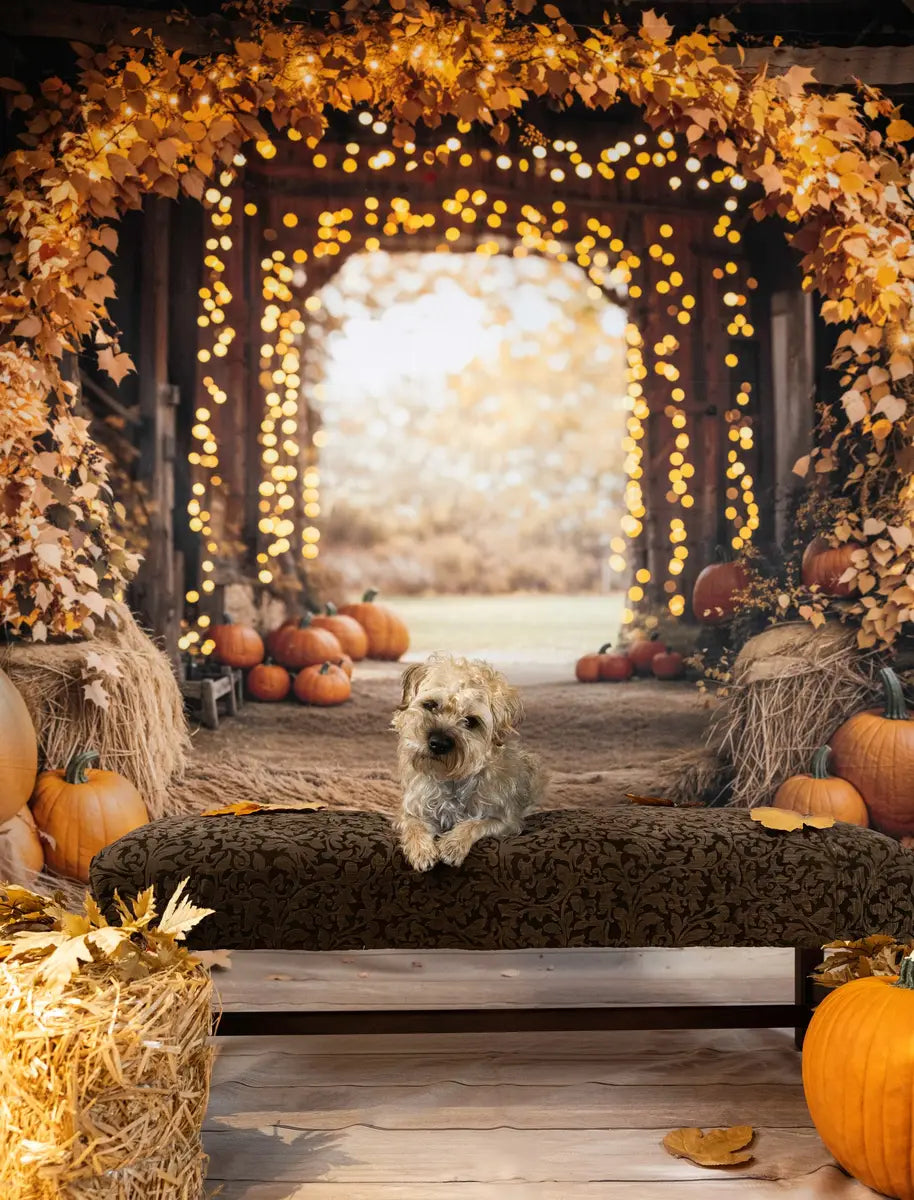 Kate Fall Maple Arch Pumpkins Barn Backdrop Designed by Emetselch