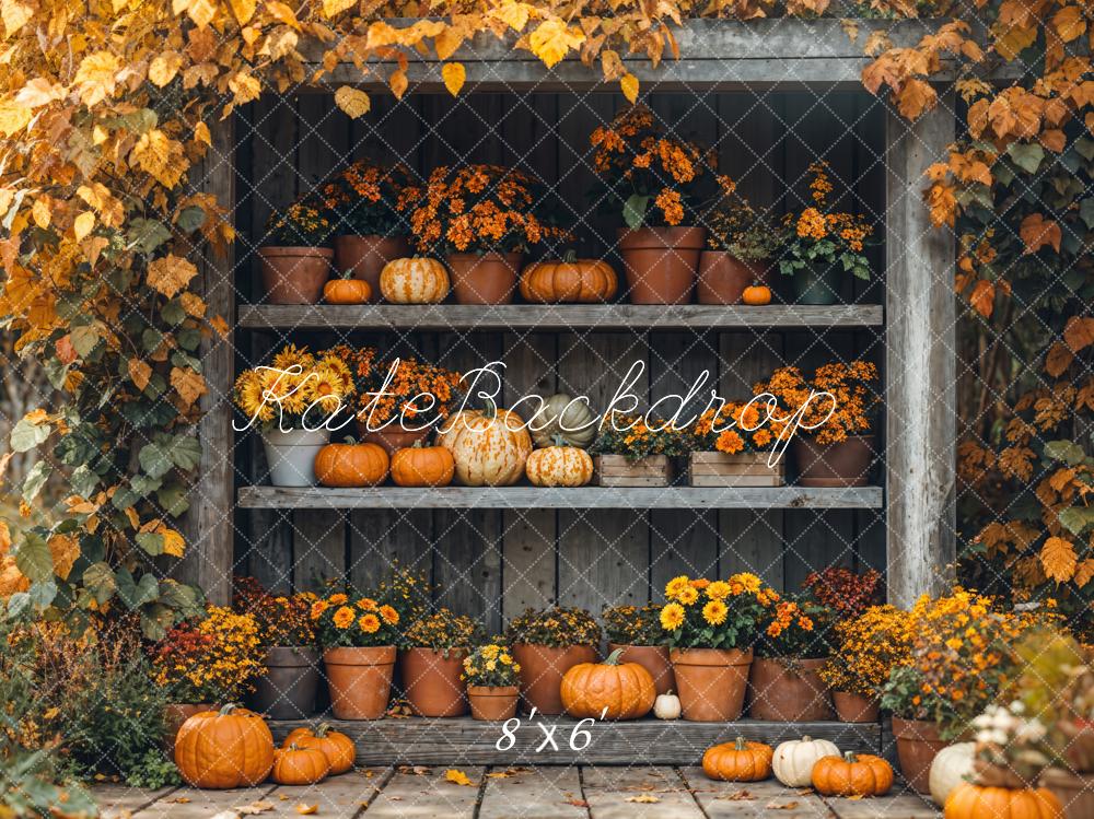 Fall Pumpkin Shelf Flowers Maple Backdrop Designed by Emetselch