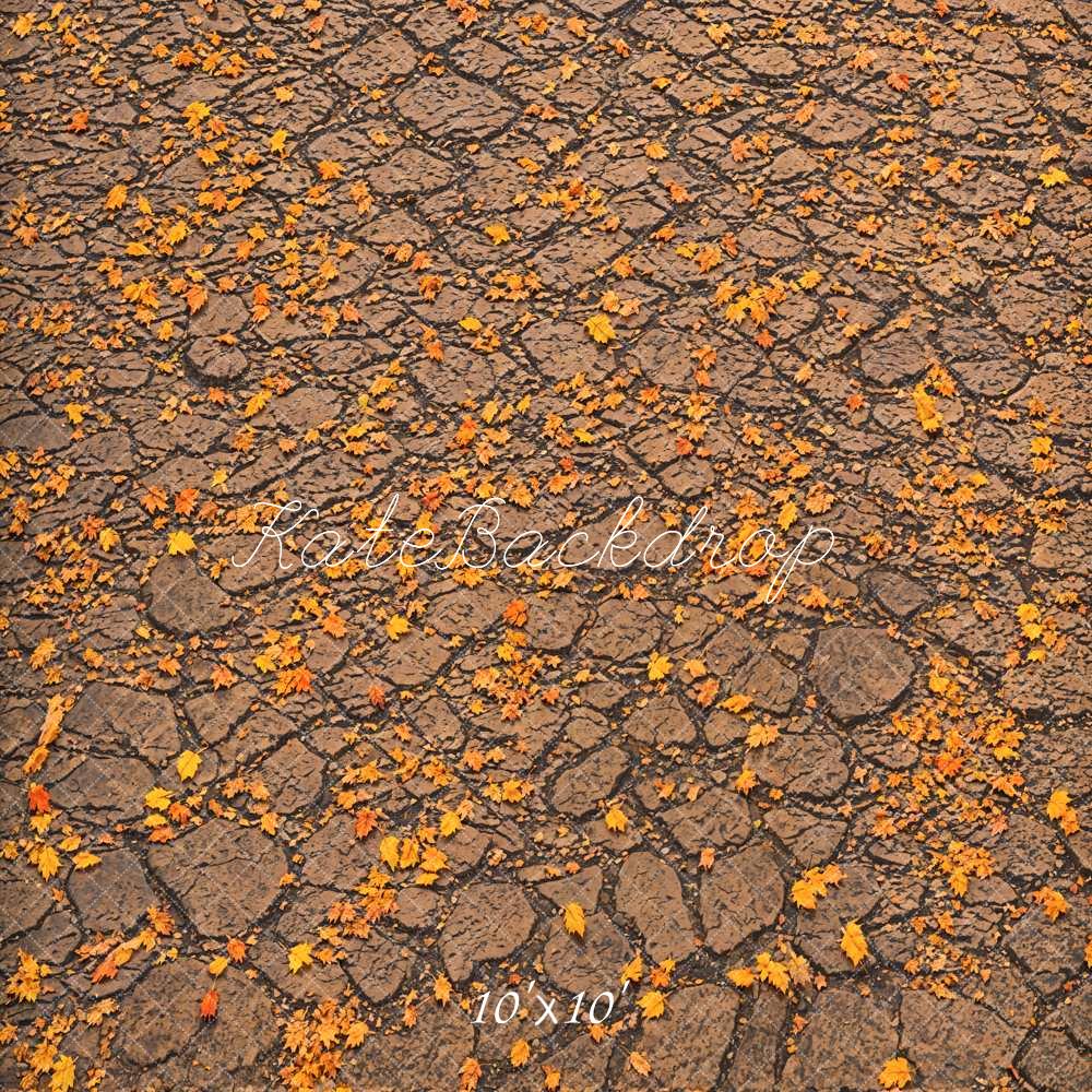 Kate Fall Fallen Leaves On Ground Backdrop Designed by Emetselch