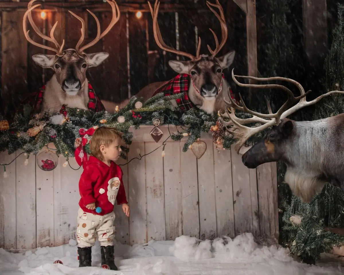 Kate Christmas White Reindeer Stall Backdrop Designed by Mini MakeBelieve