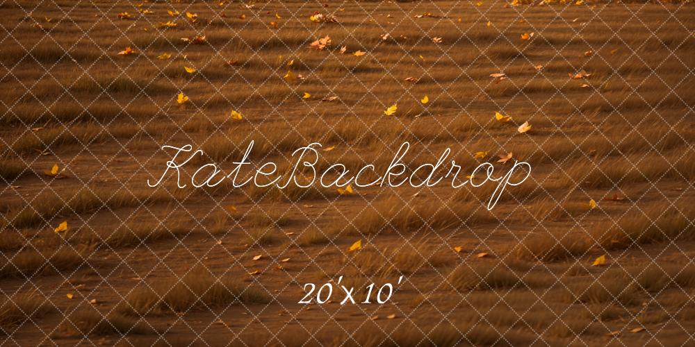 Kate Fall Leaves Grass Backdrop Designed by Emetselch