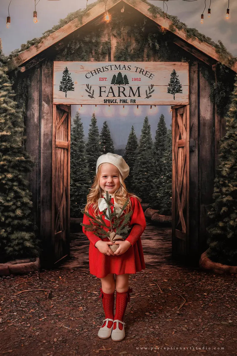 Fondo de entrada de una granja de árboles de Navidad para fotografía