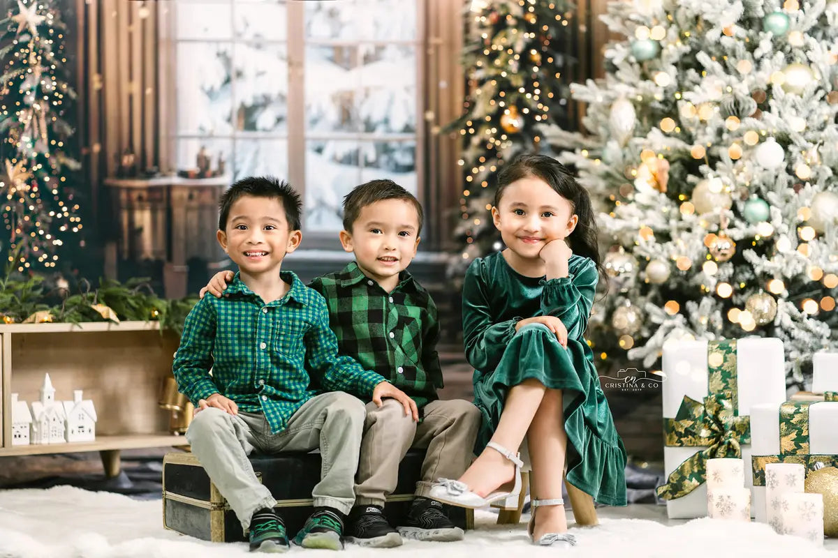 Natale finestra elegante sfondo sala progettata da Emetselch