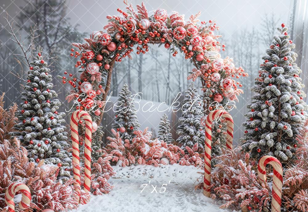 Kate Winter Forest Christmas Tree Beautiful Red Decoration Arch Backdrop Designed by Emetselch