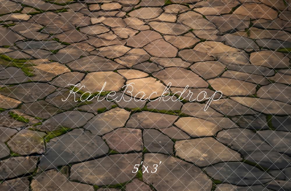 Kate Brown Stone Path Floor Backdrop Designed by Kate Image