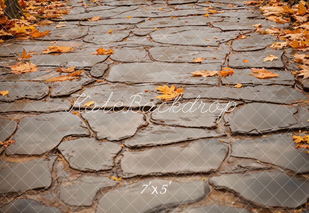 Kate Fall Leaves and Gray Cobblestone Road Floor Backdrop Designed by Emetselch