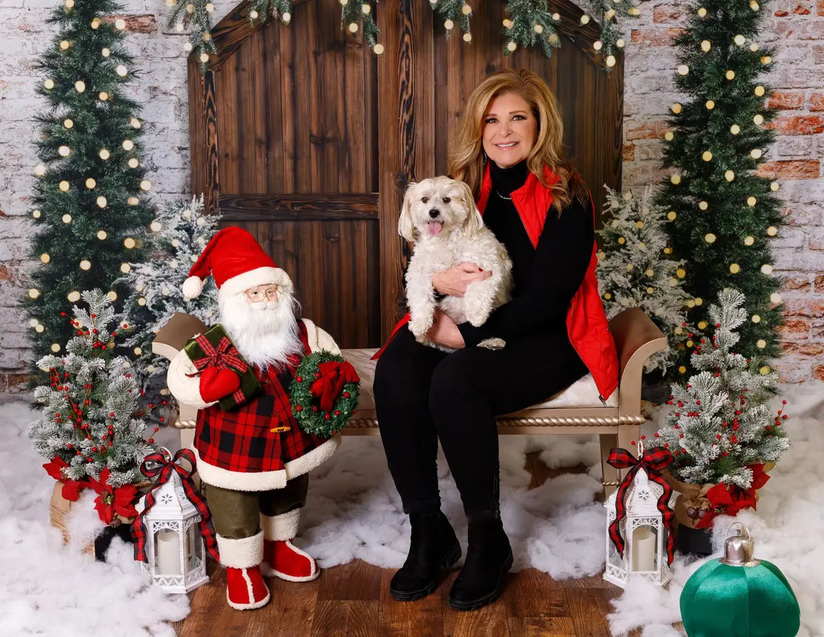 Kate Christmas Backdrop Winter Brick Wall Barn Door Designed by Emetselch