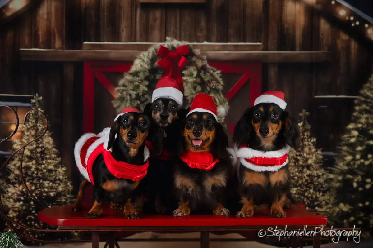 Sfondo per fotografie di casa innevata all'aperto per Natale