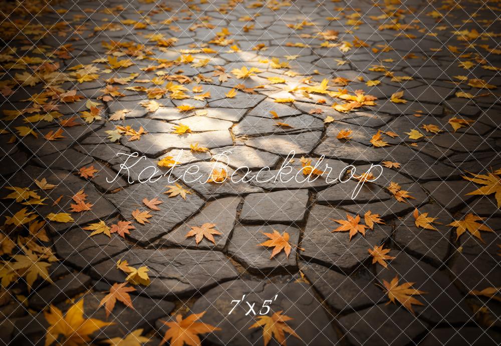 Kate Fall Leaves Stone Path Floor Backdrop Designed by Emetselch