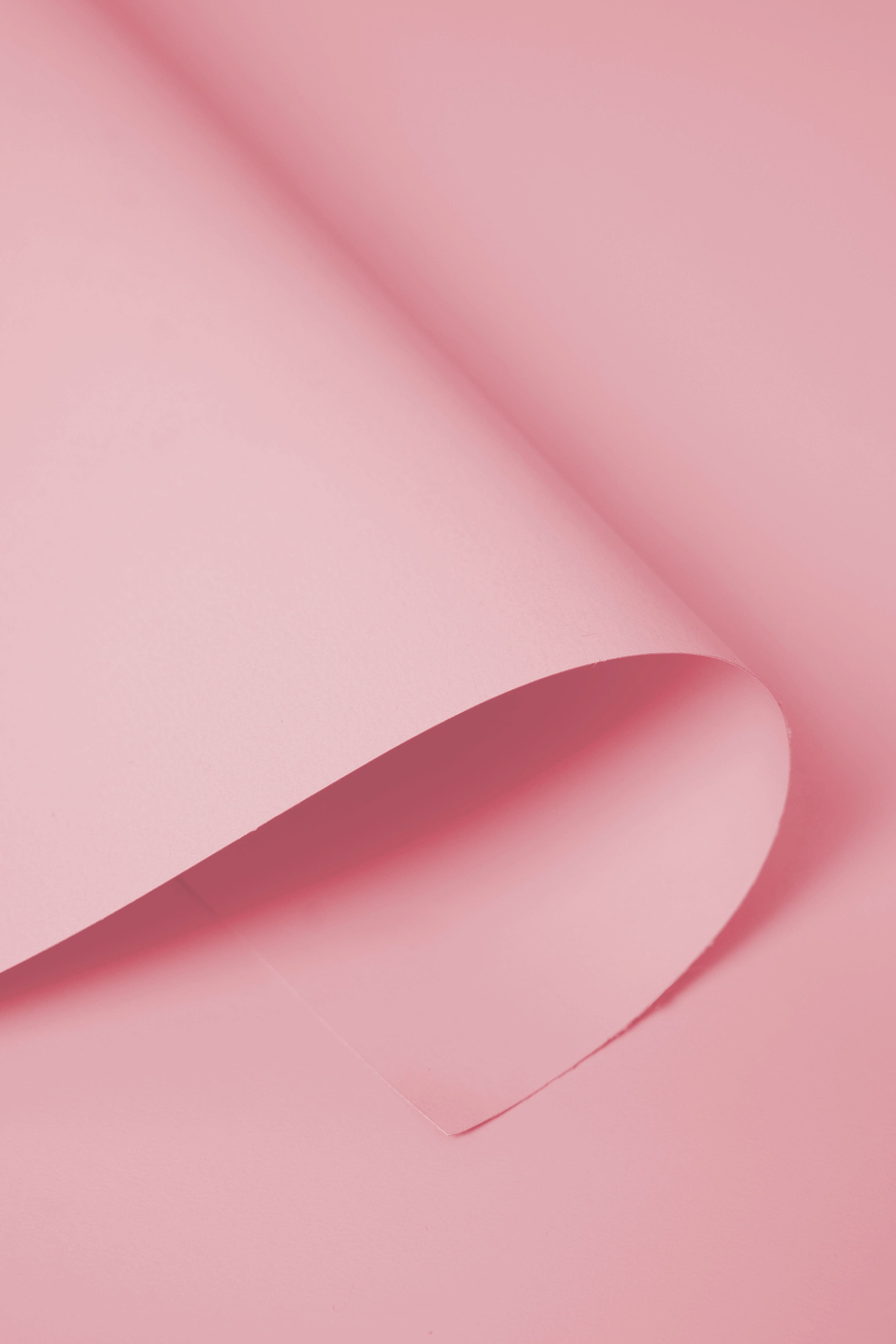 Fondo de papel sin costuras en color rosa bebé para fotografía (SÓLO EE. UU.)