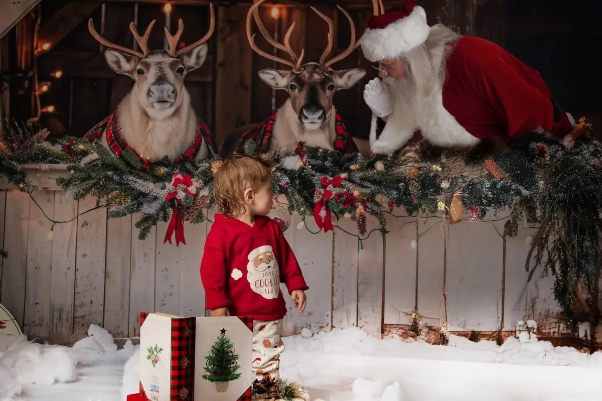 Kate Christmas White Reindeer Stall Backdrop Designed by Mini MakeBelieve