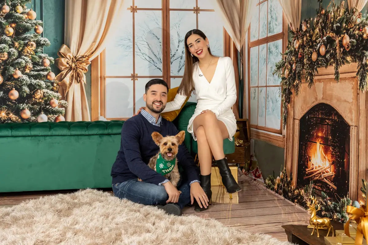 Conjunto de Ventana de Regalos de Chimenea de Navidad