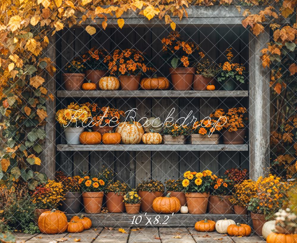 Fall Pumpkin Shelf Flowers Maple Backdrop Designed by Emetselch