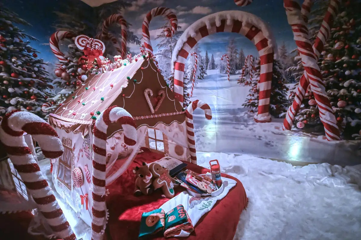 Kate Winter Christmas Outdoor Forest Snow Candy Arch Backdrop Designed by Chain Photography