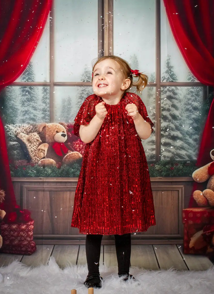 Kate Christmas Room Teddy Bear Windows Backdrop Designed by Chain Photography