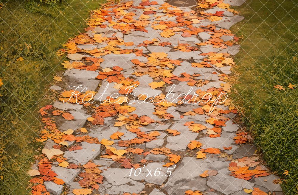 Kate Fall Leaves Pathway Cobblestone Floor Backdrop Designed by Emetselch