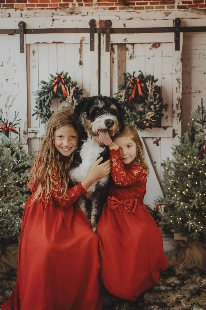 Kate Christmas White Shabby Barn Door Backdrop Designed by Emetselch