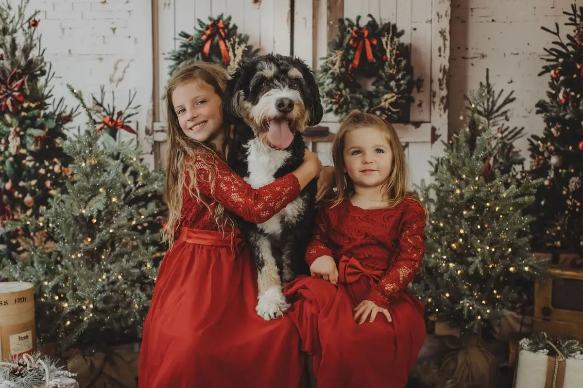 Kate Christmas White Shabby Barn Door Backdrop Designed by Emetselch