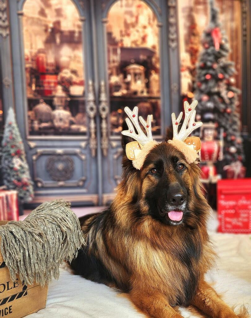 Fondo de tienda de cascanueces de Navidad diseñado por Emetselch