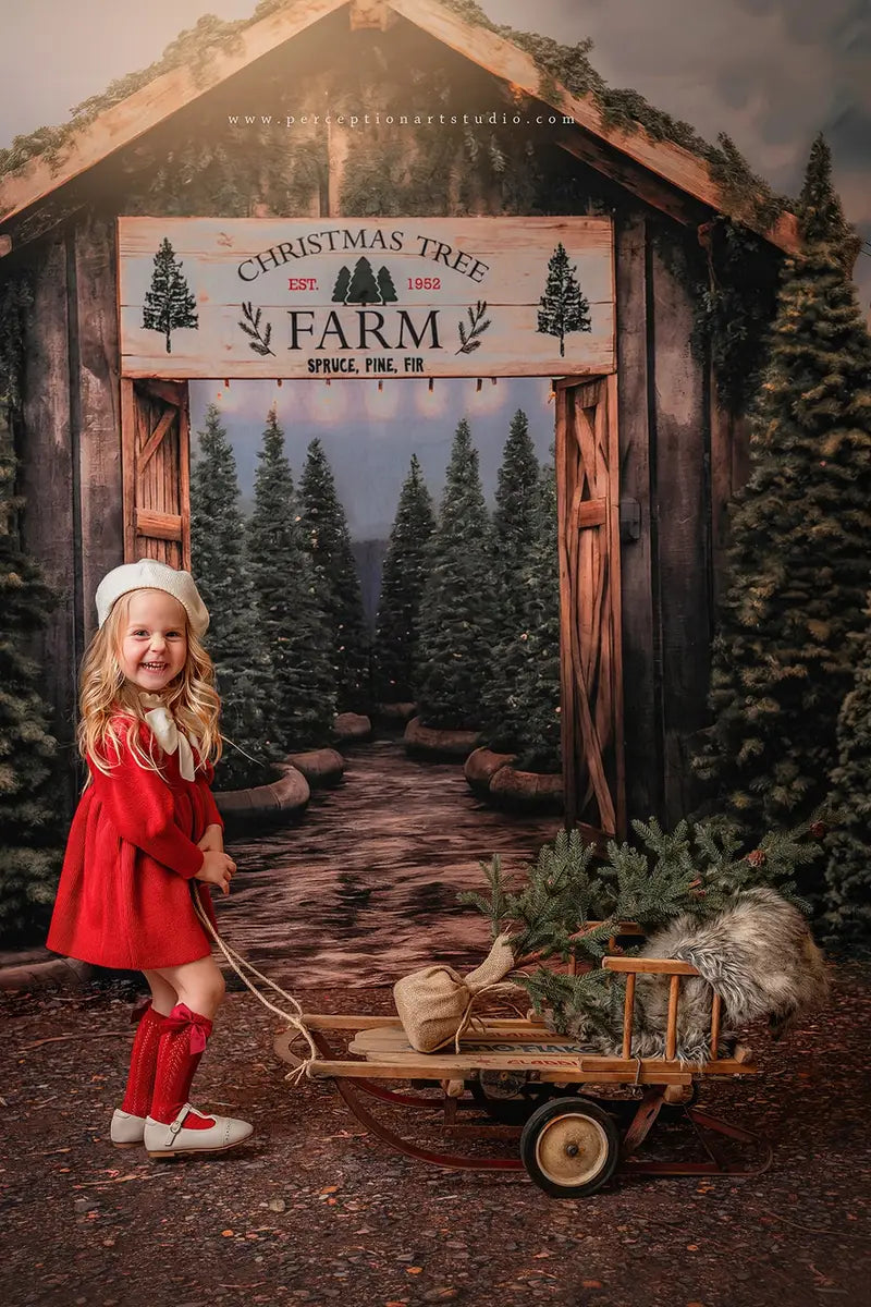 Fondo de entrada de una granja de árboles de Navidad para fotografía