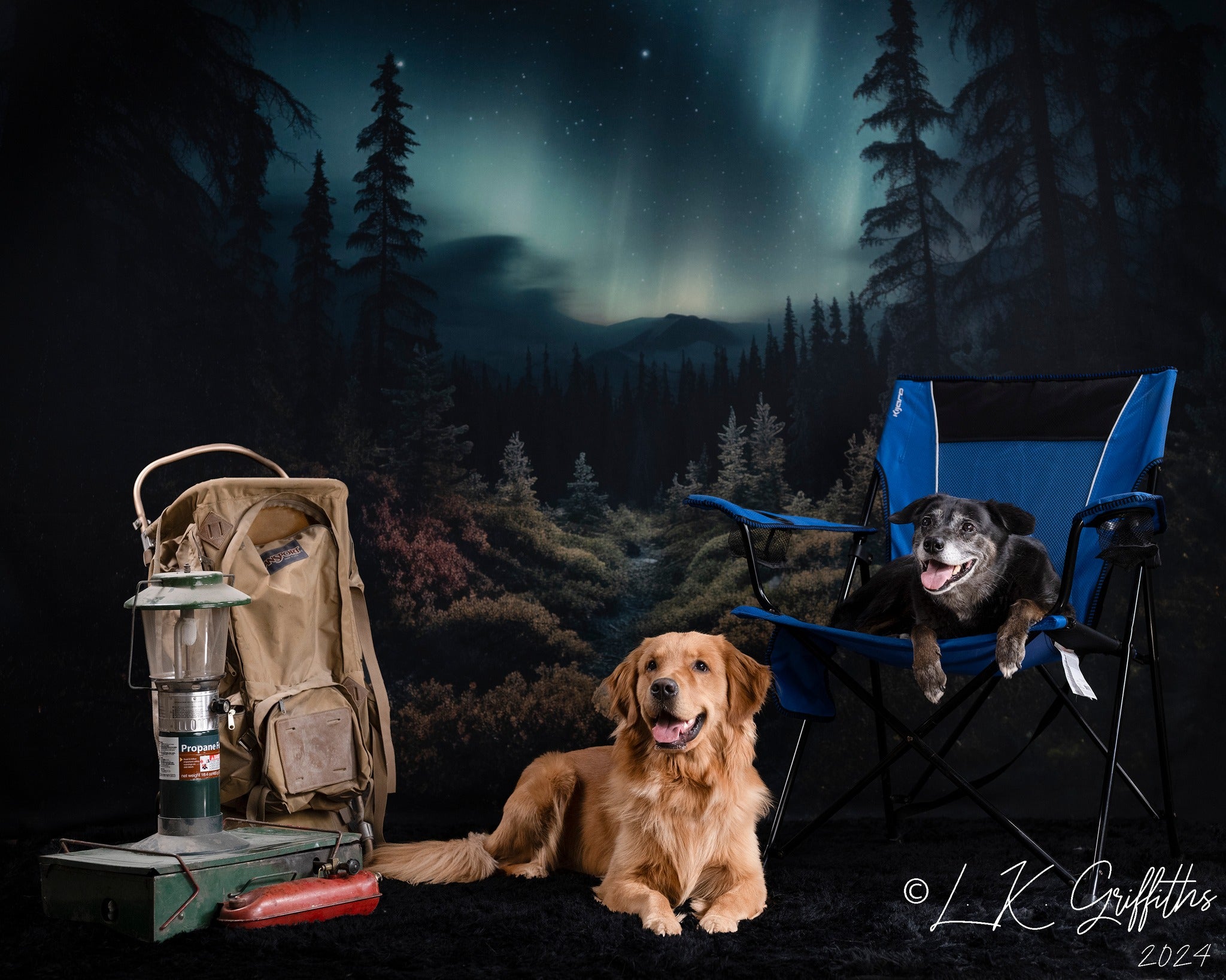 Pet Forest con Fondo de Aurora Diseñado por Mandy Ringe Photography