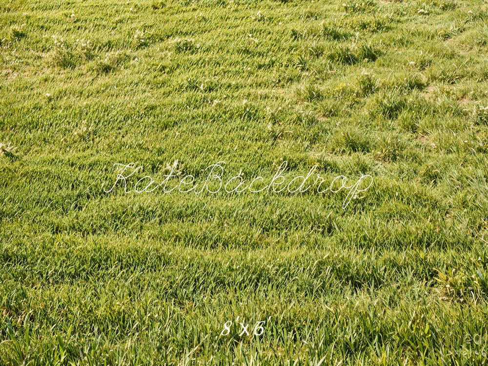 Kate Spring Green Grass Field Floor Backdrop Designed by Emetselch