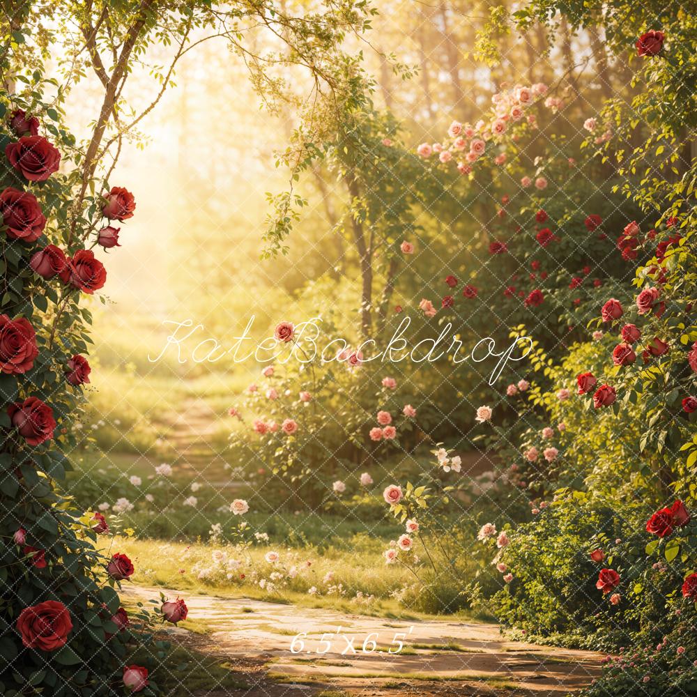 Valentine Garden Rose Sunlight Foto Achtergrond Designed by Emetselch