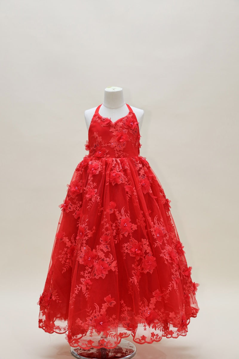 Kate Valentine's Day Red Embroidered Kids Dress for Photography