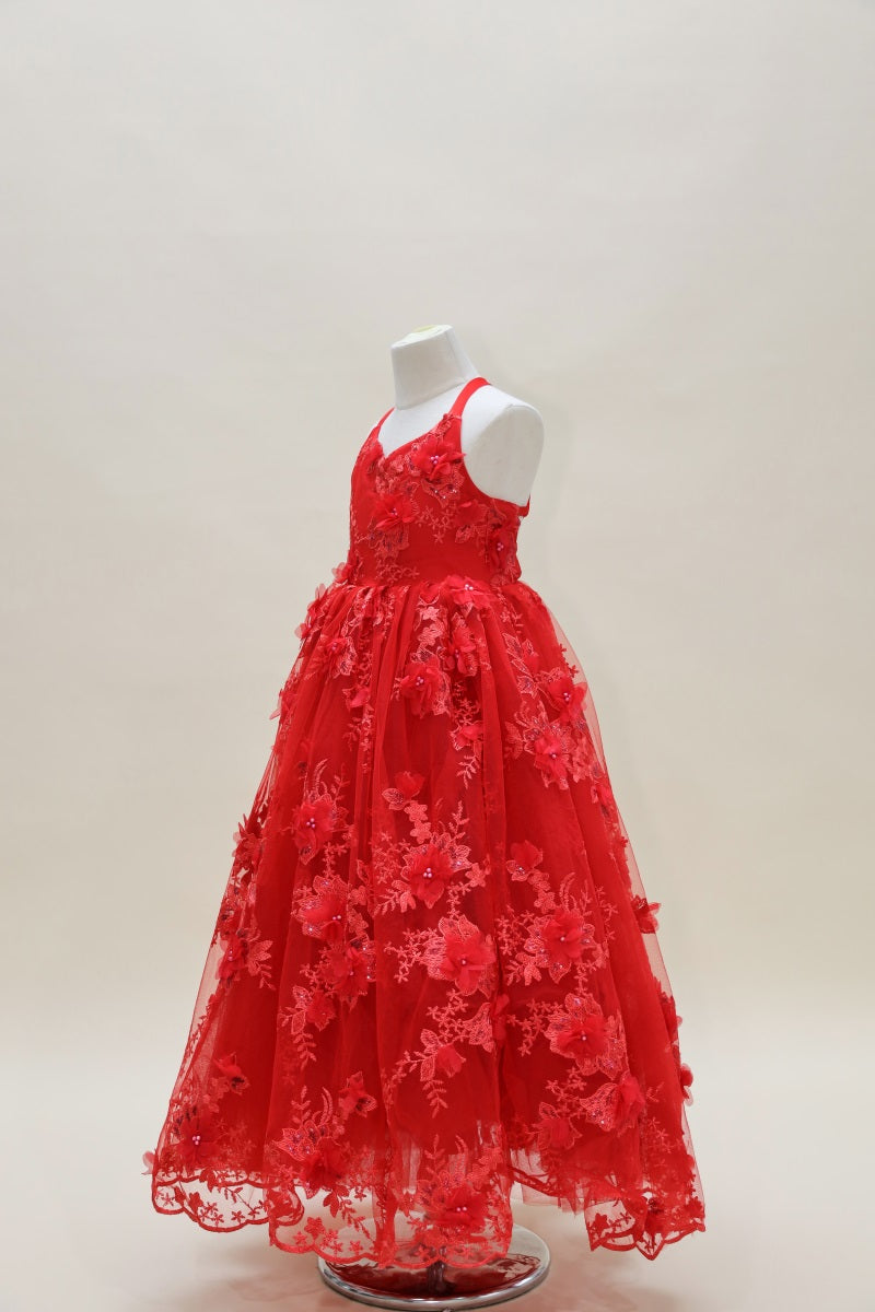 Kate Valentine's Day Red Embroidered Kids Dress for Photography