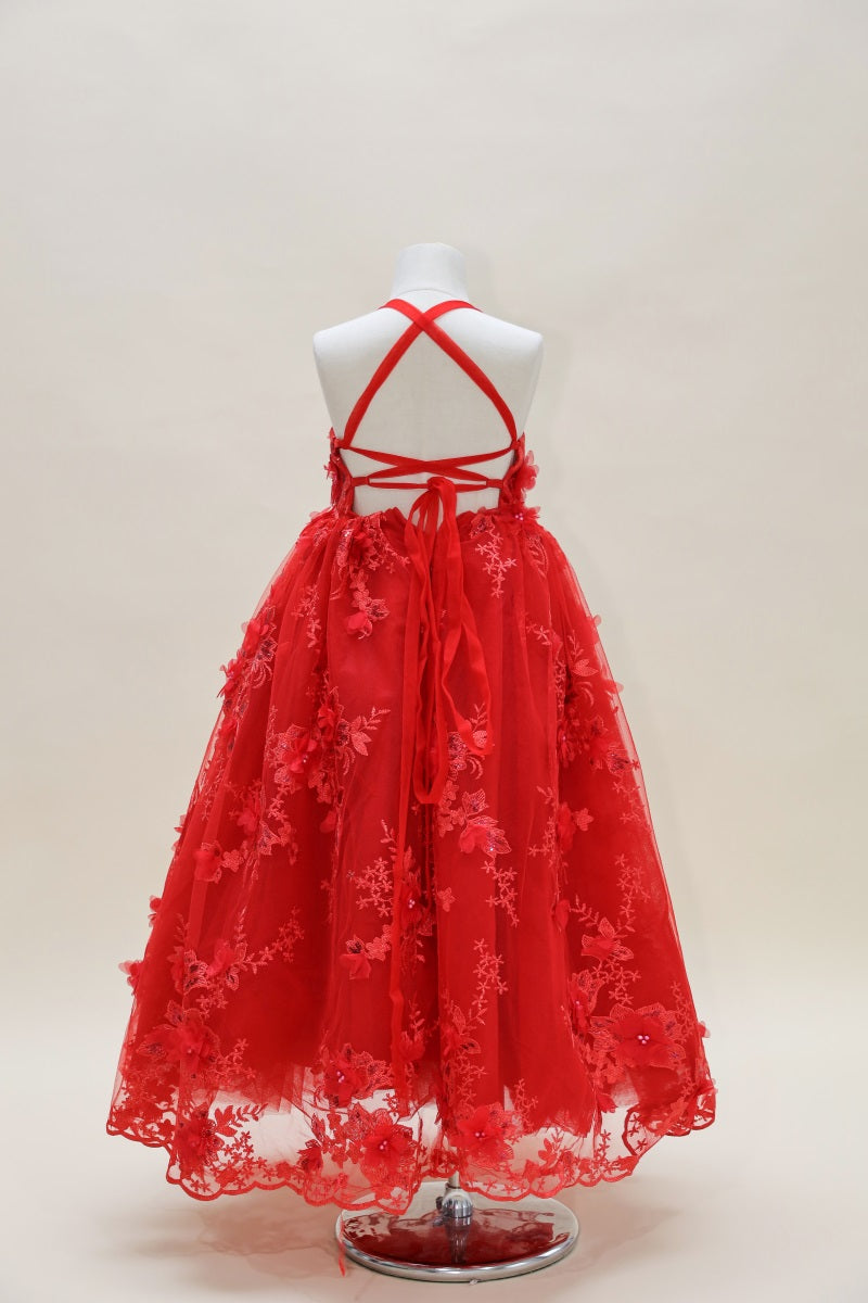 Kate Valentine's Day Red Embroidered Kids Dress for Photography