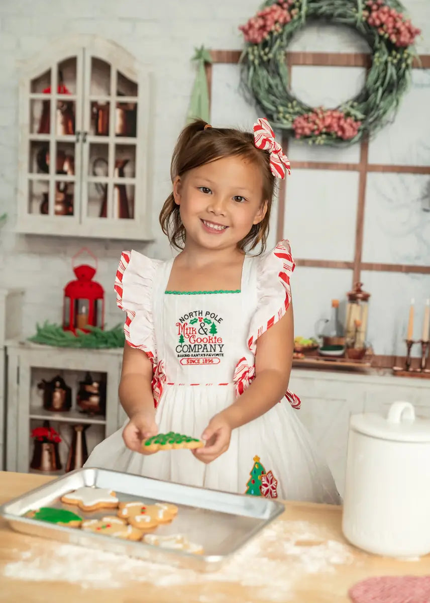 Kate Christmas Backdrop Indoor Cupboard for Photography