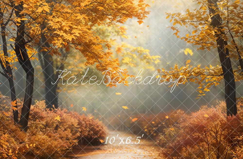 Kate Fall Maple Forest Path Backdrop Designed by Chain Photography