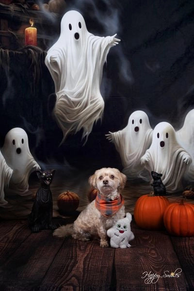 Kate Pet Spooky Halloween Ghosts Backdrop Designed by Patty Robert