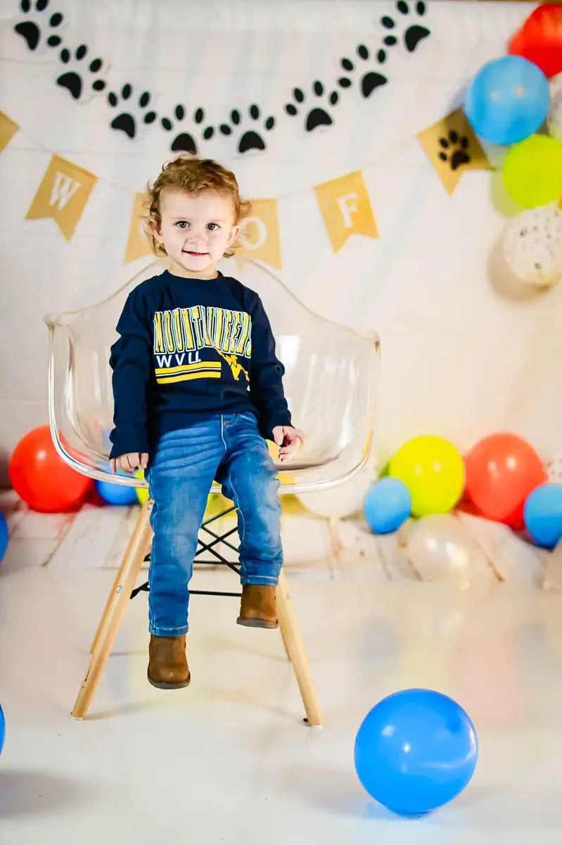 Kate Neutral Dog Balloons Decorations Backdrop Designed by AAE Photography