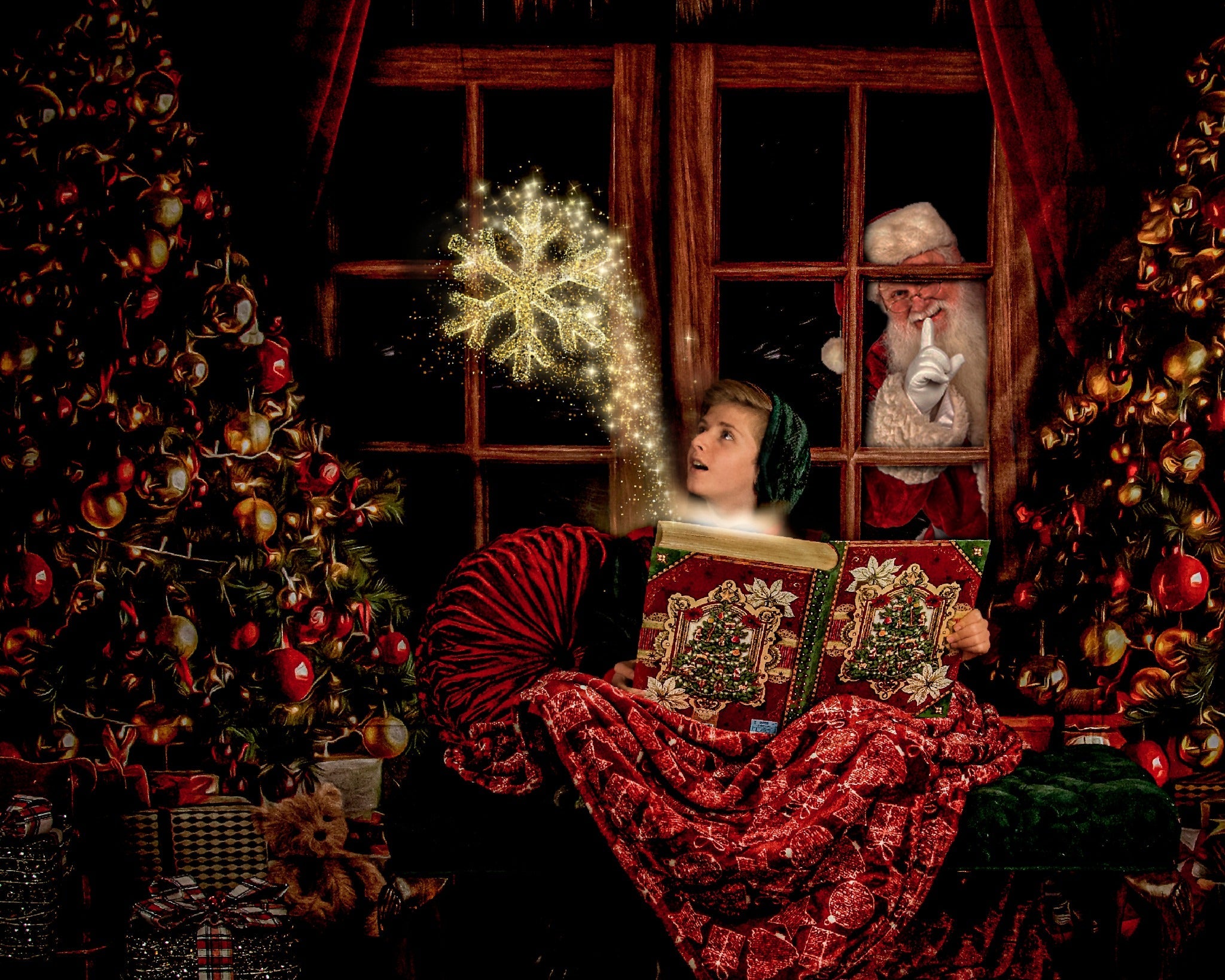 RTS Kerstachtergrond venster Vintage Houten Boom voor Fotografie