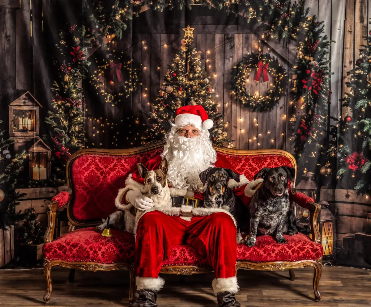 Kate Christmas Night Dark Brown Wooden Arched Barn Door Backdrop Designed by Chain Photography