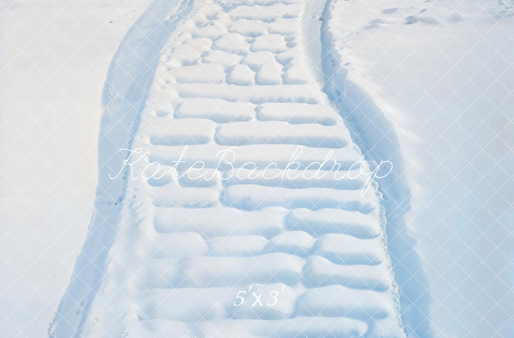 Kate Winter Snowy Brick Path Floor Backdrop Designed by Emetselch