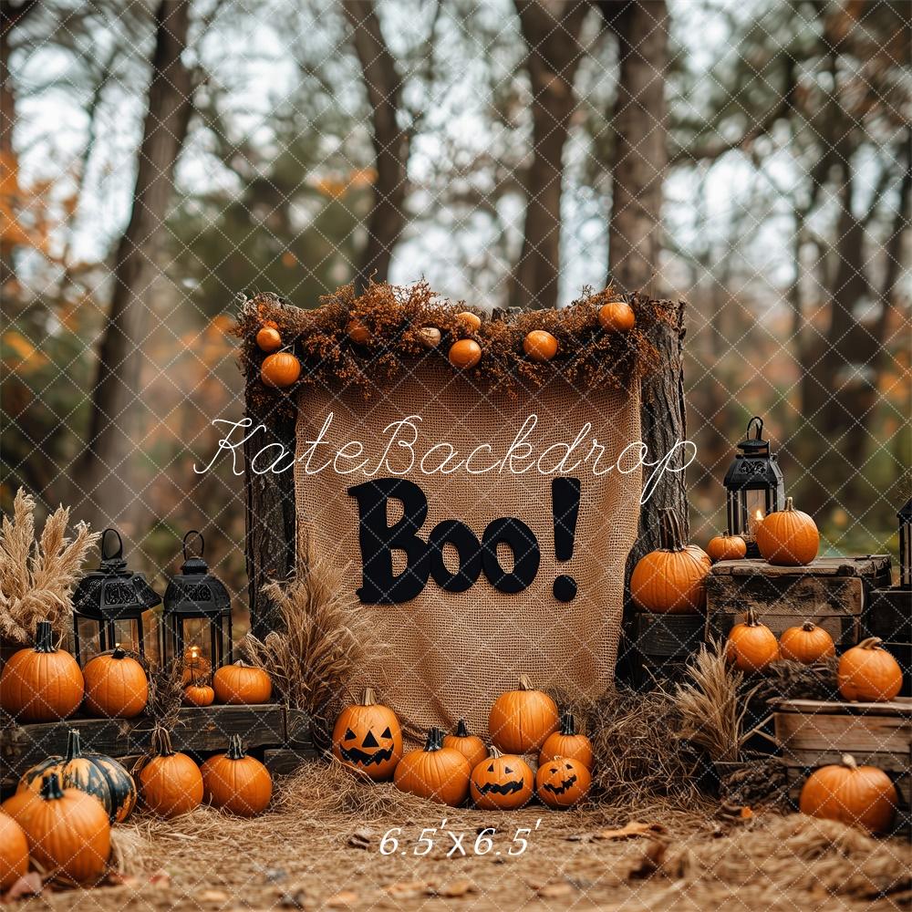 Boho Halloween Bos Pompoenen Foto Achtergrond Designed by Patty Roberts